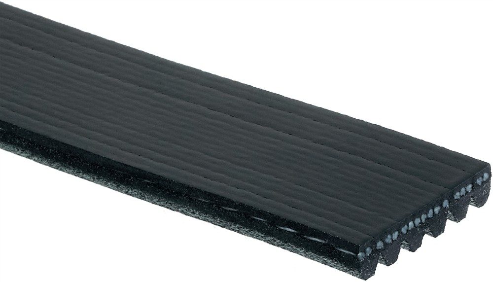 AC Delco Gold Water Pump Serpentine Belt 6K1141 — image 3